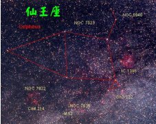 27.仙王座（1月16日）