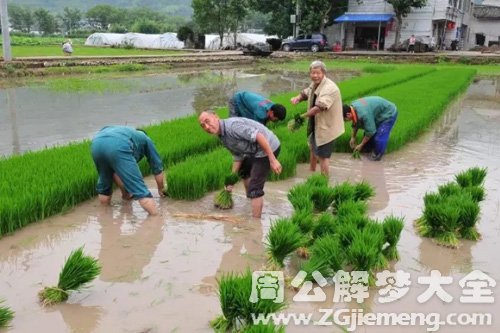 【梦见聋子种田】