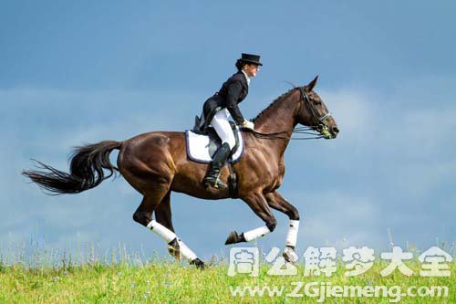 【梦见骑手】
