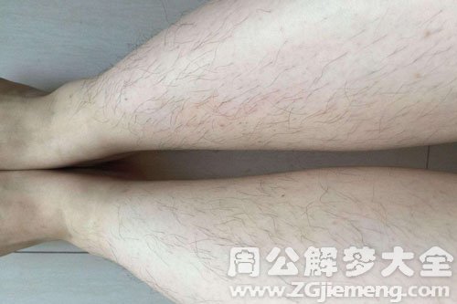 【梦见汗毛】