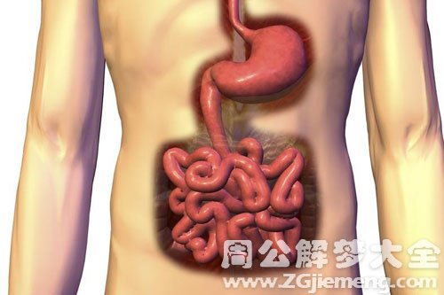 【梦见肠子】