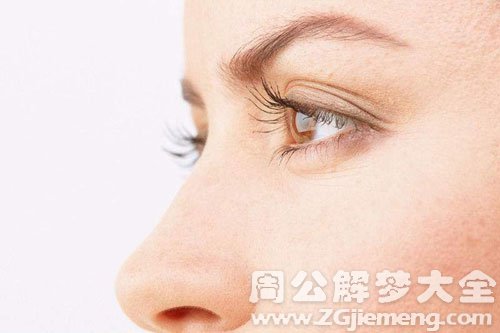 【梦见鼻梁】
