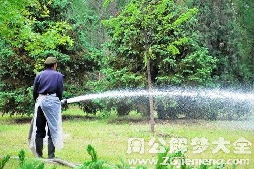 【梦见园丁】